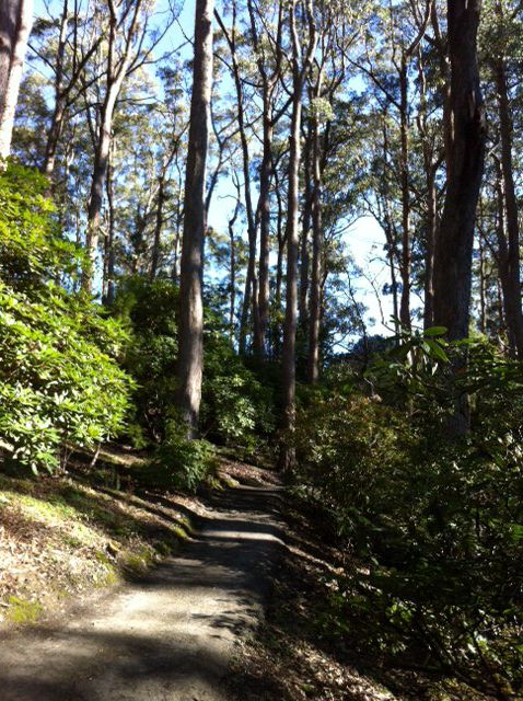 363daefaf45b790e20216d5b4e9fa425_zpsk4ni