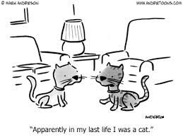 e17168a3df71110b24c20e72a5050867_zpscf91