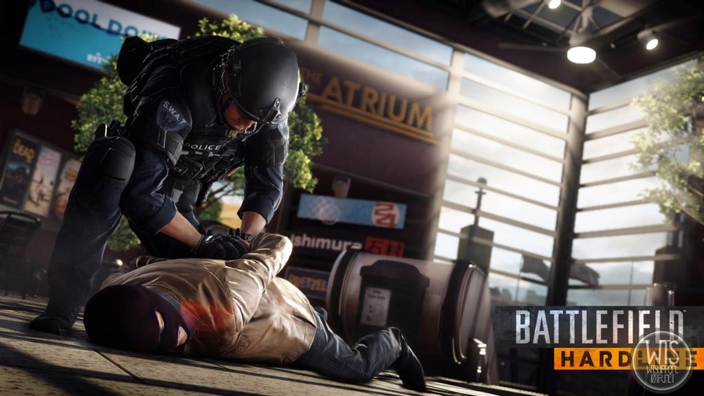 bfhardline_3.jpg~original