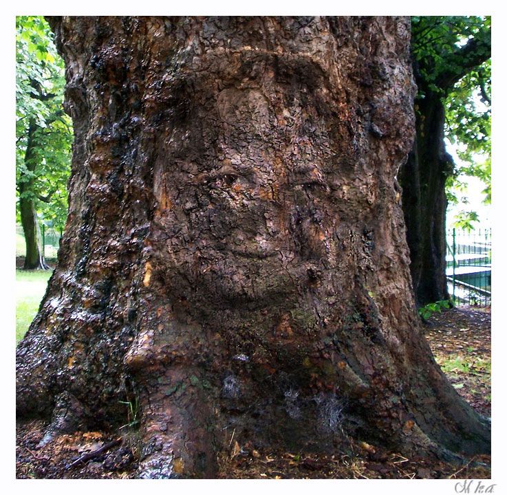  photo nr31_zpsd0ba0fb6.jpg