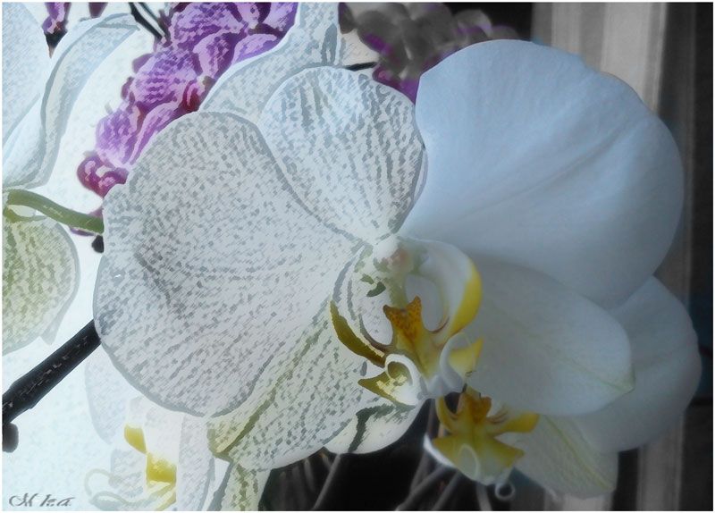  photo nr42_zpsd8872712.jpg