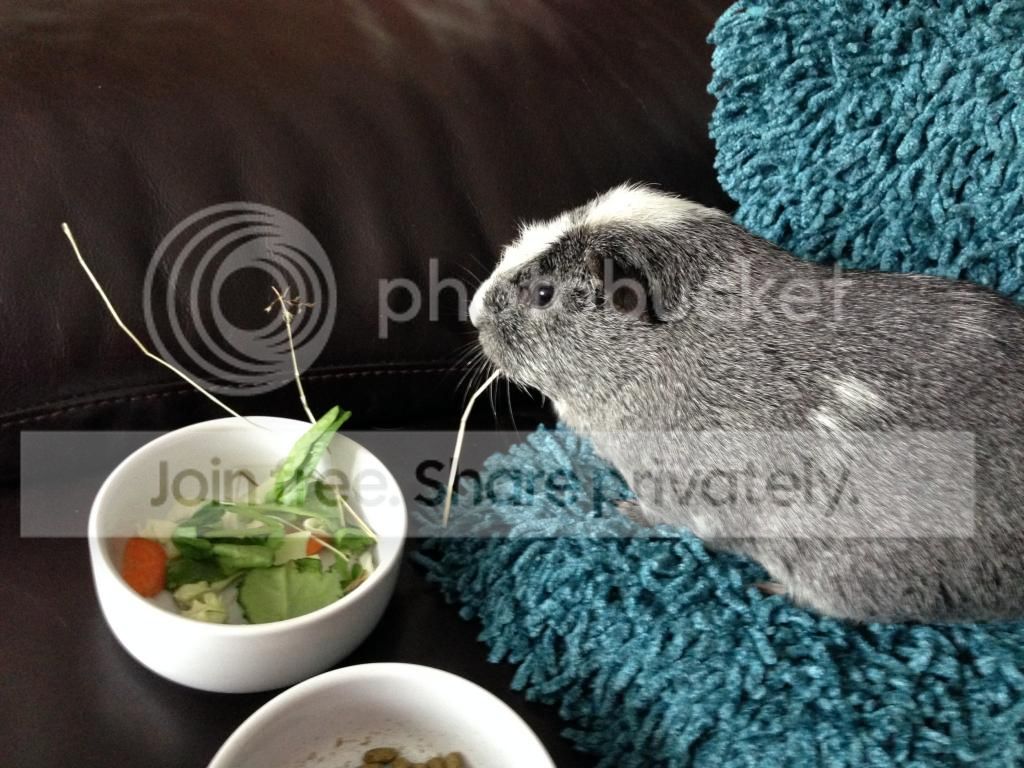 IMG_5950_zps31143df1.jpeg